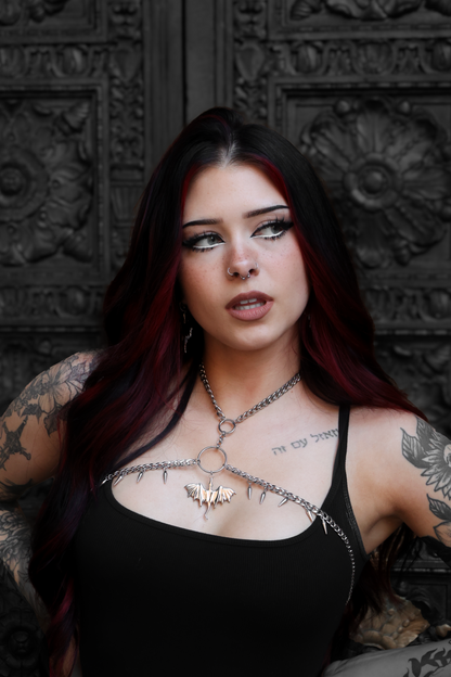 Dragon Tamer Harness