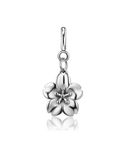 Sakura Charm